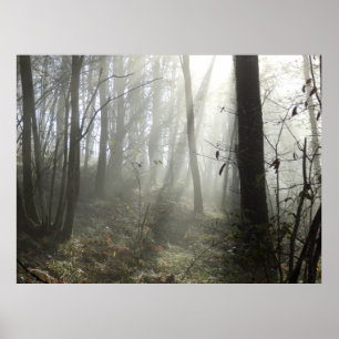 Waldland Morgennebel-Poster Poster