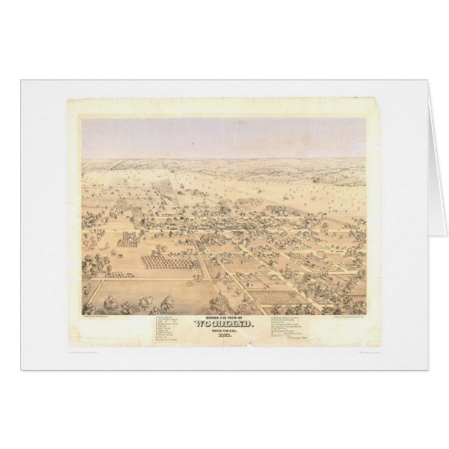 Waldland, panoramische Karte CA (1874A) (Vorderseite (Horizontal))