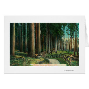 Waldland SceneEugene ODER
