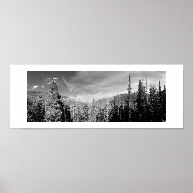 Waldland Schwarz und Weiß Foto Panoramaaussicht Poster (Vorne)
