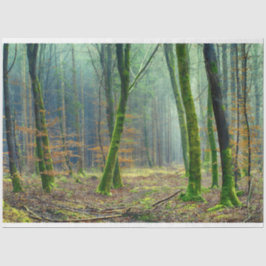 Waldlandschaft 25 Dekoupage Tissue Paper Seidenpapier