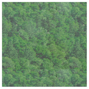 Waldlandschaft Foto Stoff