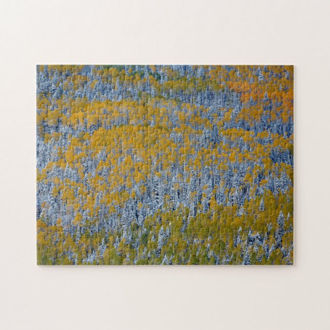 Waldlandschaft im Herbst (Horizontal)