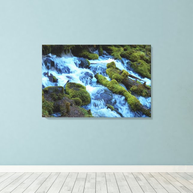 Waldlandschaft mit Wasserfall Leinwanddruck (Insitu (Holzboden))