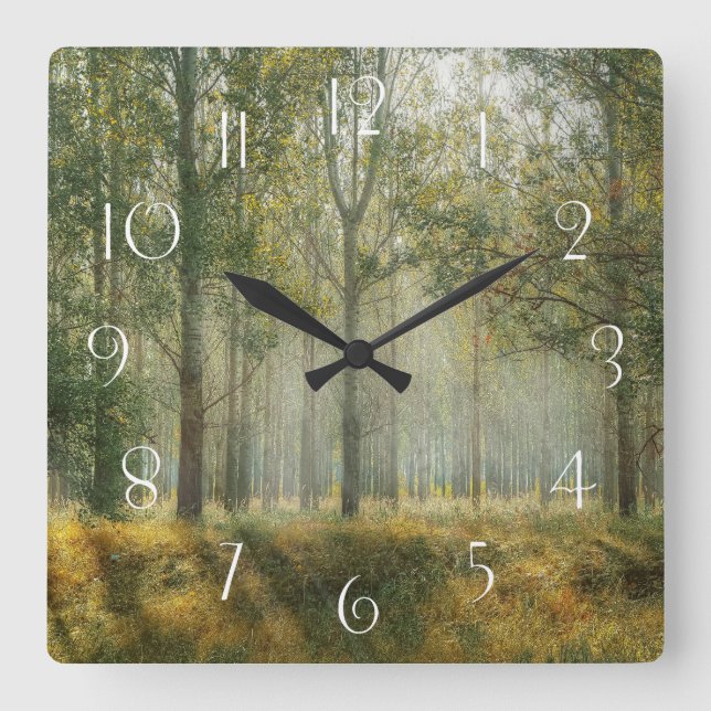 Waldlandschaft Quadratische Wanduhr (Vorderseite)