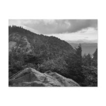 Waldlandschaftsfotos auf der Standardpostkarte