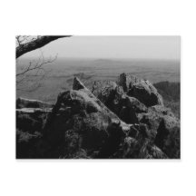 Waldlandschaftsfotos auf der Standardpostkarte