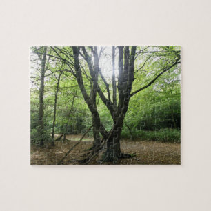 Waldlandsonnenpuzzle