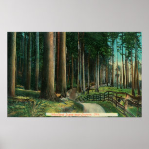 WaldlandszeneEugene, OR Poster