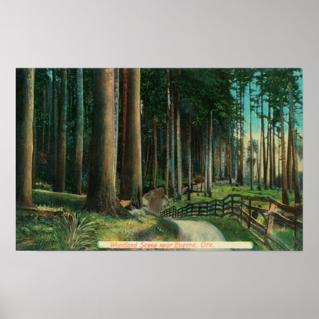 WaldlandszeneEugene, OR Poster (Vorne)