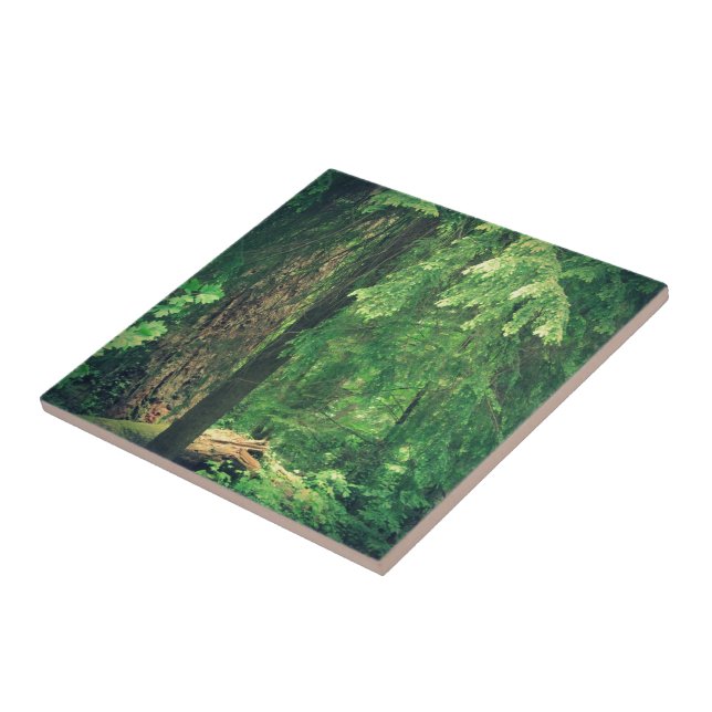 Waldlicht Fliese (Seite)