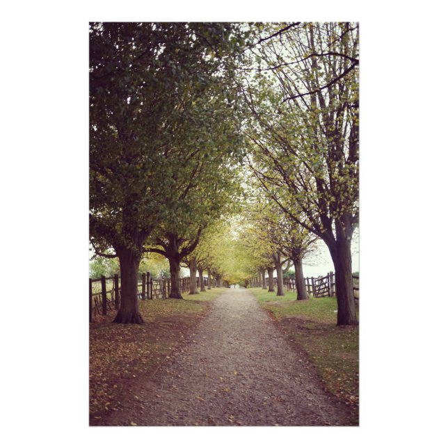 Waldlinie Fotodruck (Vorne)