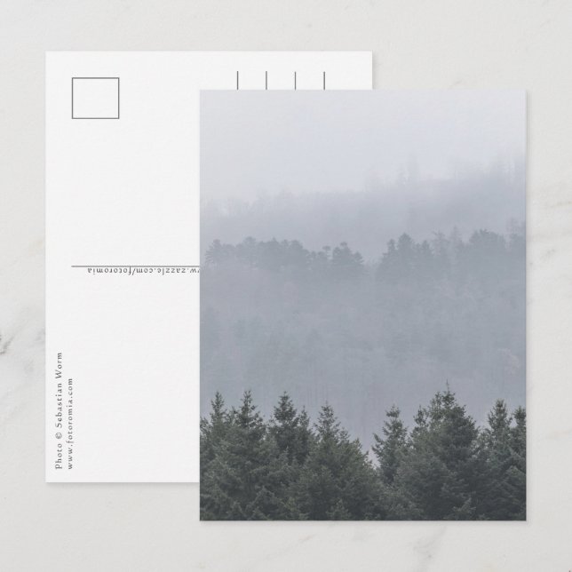Waldnatur-Foto Postkarte (Vorne/Hinten)