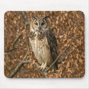Waldohreule versteckt sich in braunen Blättern Mousepad