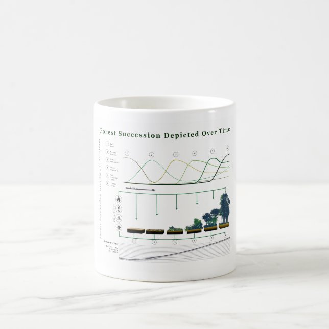 Waldökologische Reihenfolge im Laufe der Zeit Kaffeetasse (Mittel)