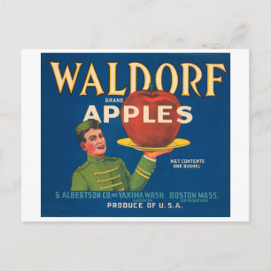 Waldorf Brand Äpfel Antike Kistenetikette Postkarte