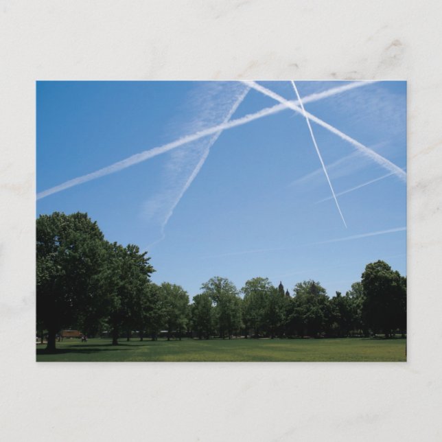 Waldpark Postkarte (Vorderseite)