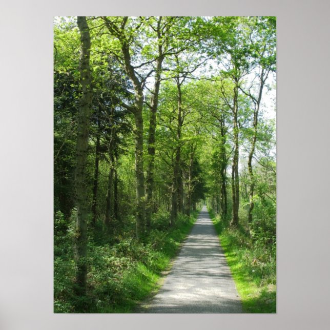 Waldpfad in teilweisem Sonnenlicht Foto Poster Art (Vorne)