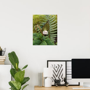 Waldpflanzen Botanische Fotografie Poster