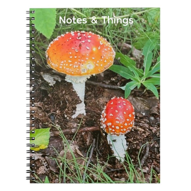 Waldpilze Notizbuch  Notizblock (Vorderseite)