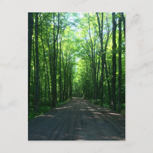 Waldpostkarte Postkarte (Vorderseite)