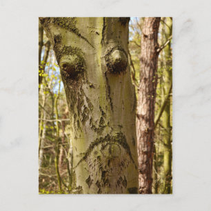 Waldpostkarte Postkarte