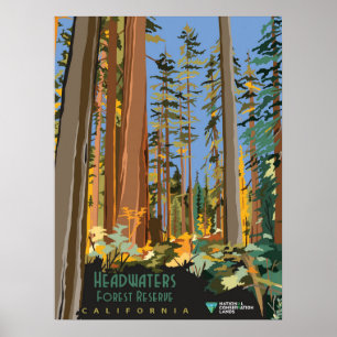 Waldreservat Poster