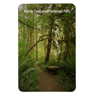 Waldrevier im Nationalpark North Cascades Magnet