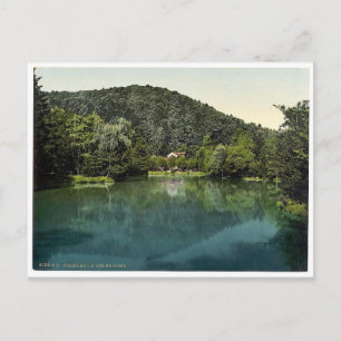 Waldsee, Freiburg, Baden, Deutschland, selten Foto Postkarte