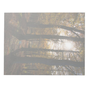 Waldsonne Notizblock