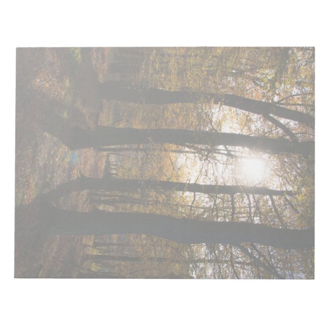 Waldsonne Notizblock (Vorderseite)