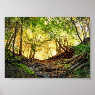 Waldsonnenlandschaft Poster