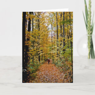 Waldspaziergang Karte