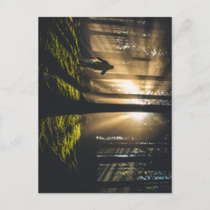 Waldspaziergang Postkarte
