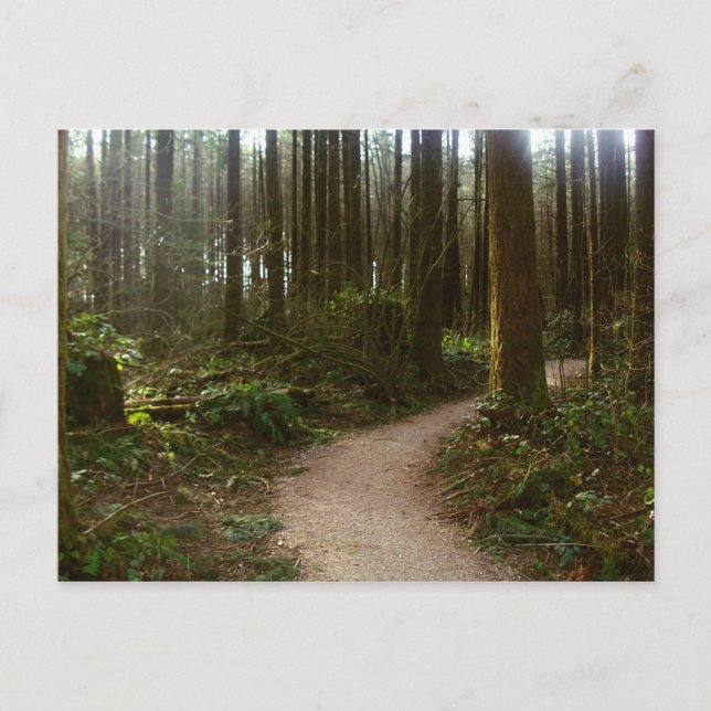 Waldspaziergang Postkarte (Vorderseite)