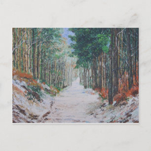 Waldspaziergang, Yorkshire, England. Postkarte