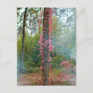 Waldstimmung - Leinwanddruck Postkarte