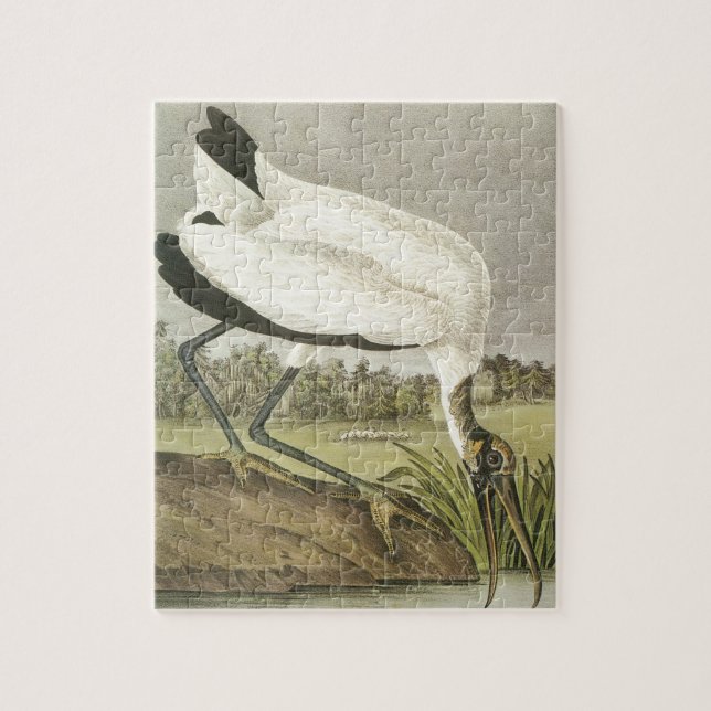 Waldstorch von Audubon (Vertikal)