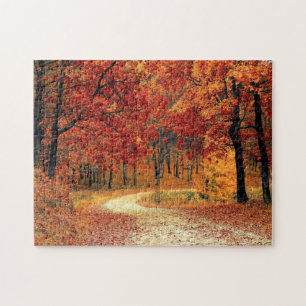 Waldstraße - Fall - Schöner Herbst