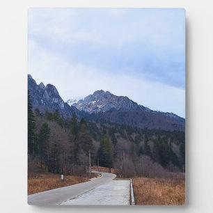 Waldstraße Landschaft Wilde Natur Rumänien Fotoplatte