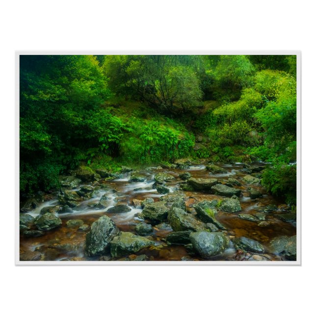 Waldstrom im üppigen Wald (Dargle River) Poster (Vorderseite)