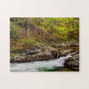Waldstrom in Great Smoky Mountains