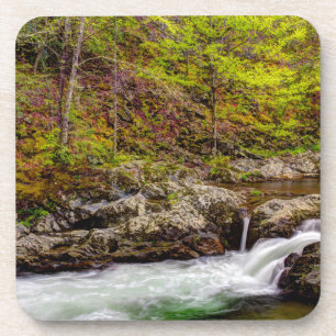 Waldstrom in Great Smoky Mountains Getränkeuntersetzer
