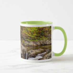 Waldstrom in Great Smoky Mountains Tasse