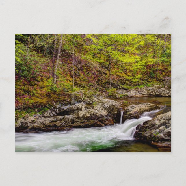 Waldstrom in großen, rauschigen Bergen Postkarte (Vorderseite)