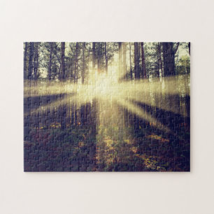 WaldSunbeams