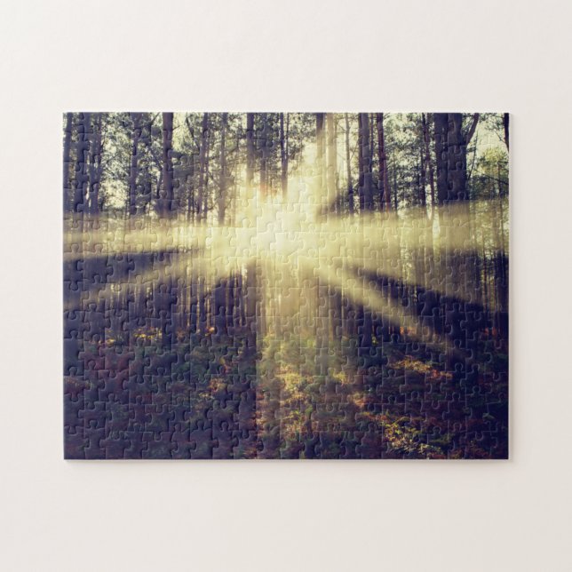 WaldSunbeams (Horizontal)