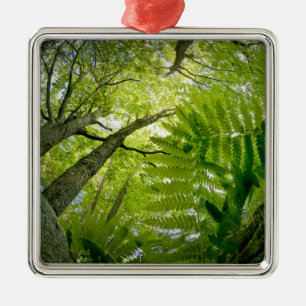 Waldszene im Acadia National Park, Maine. Ornament Aus Metall