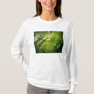 Waldszene im Acadia National Park, Maine. T-Shirt