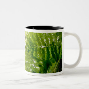 Waldszene im Acadia National Park, Maine. Zweifarbige Tasse